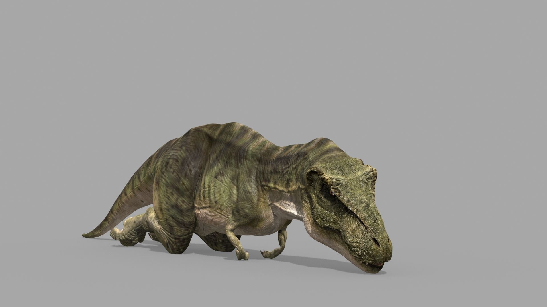 T Rex Premium 8K - fully animated 3D model_33