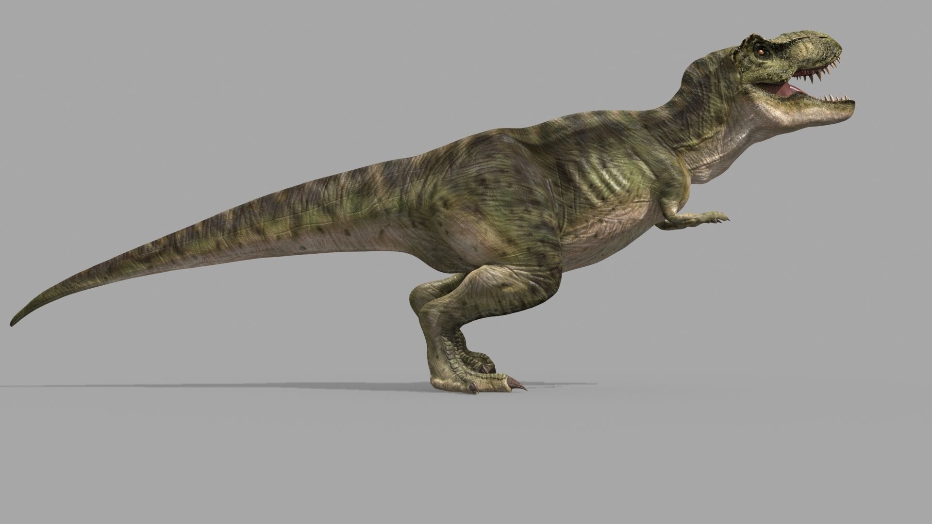T Rex Premium 8K - fully animated 3D model_42