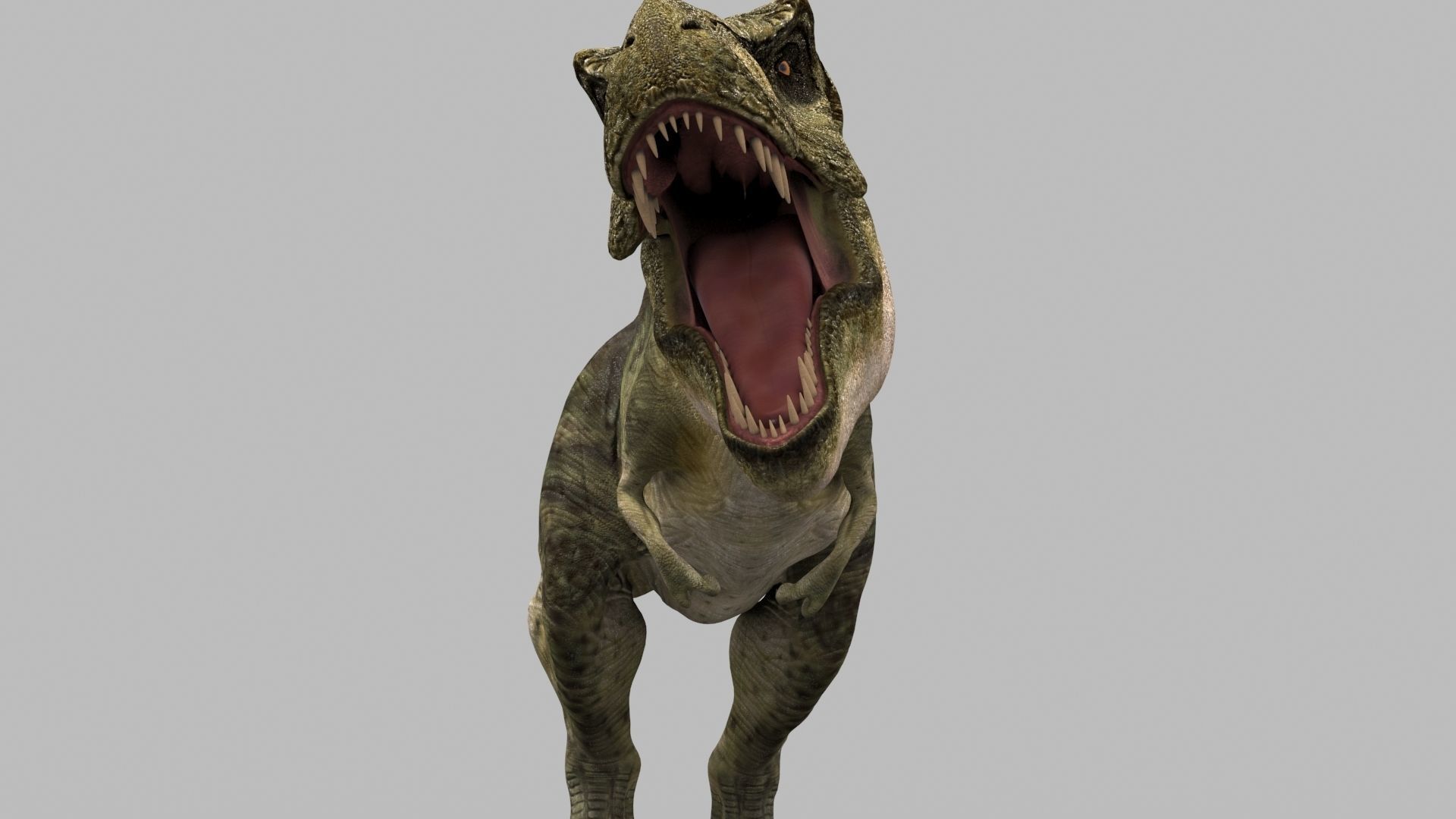 T Rex Premium 8K - fully animated 3D model_28