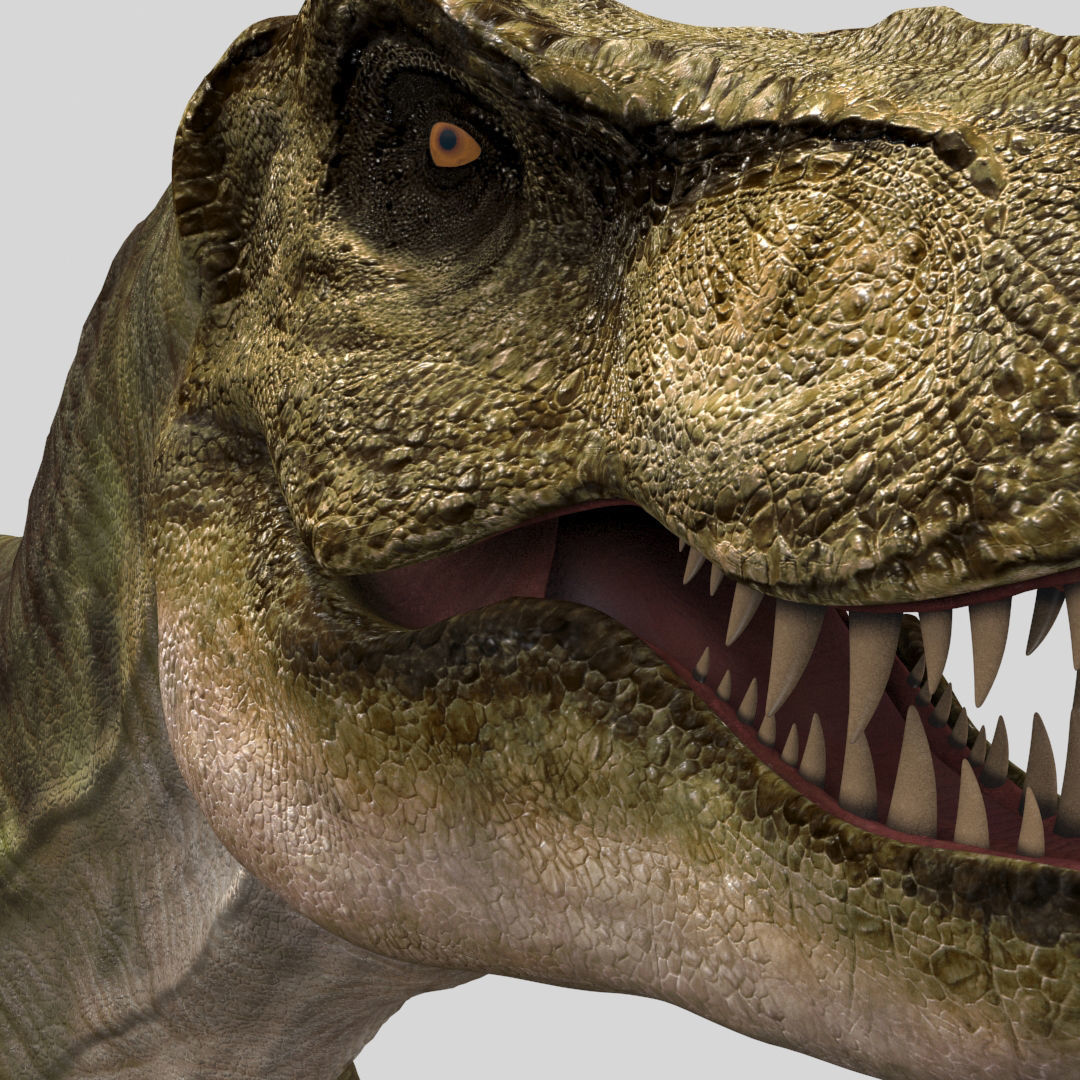 T Rex Premium 8K - fully animated 3D model_29
