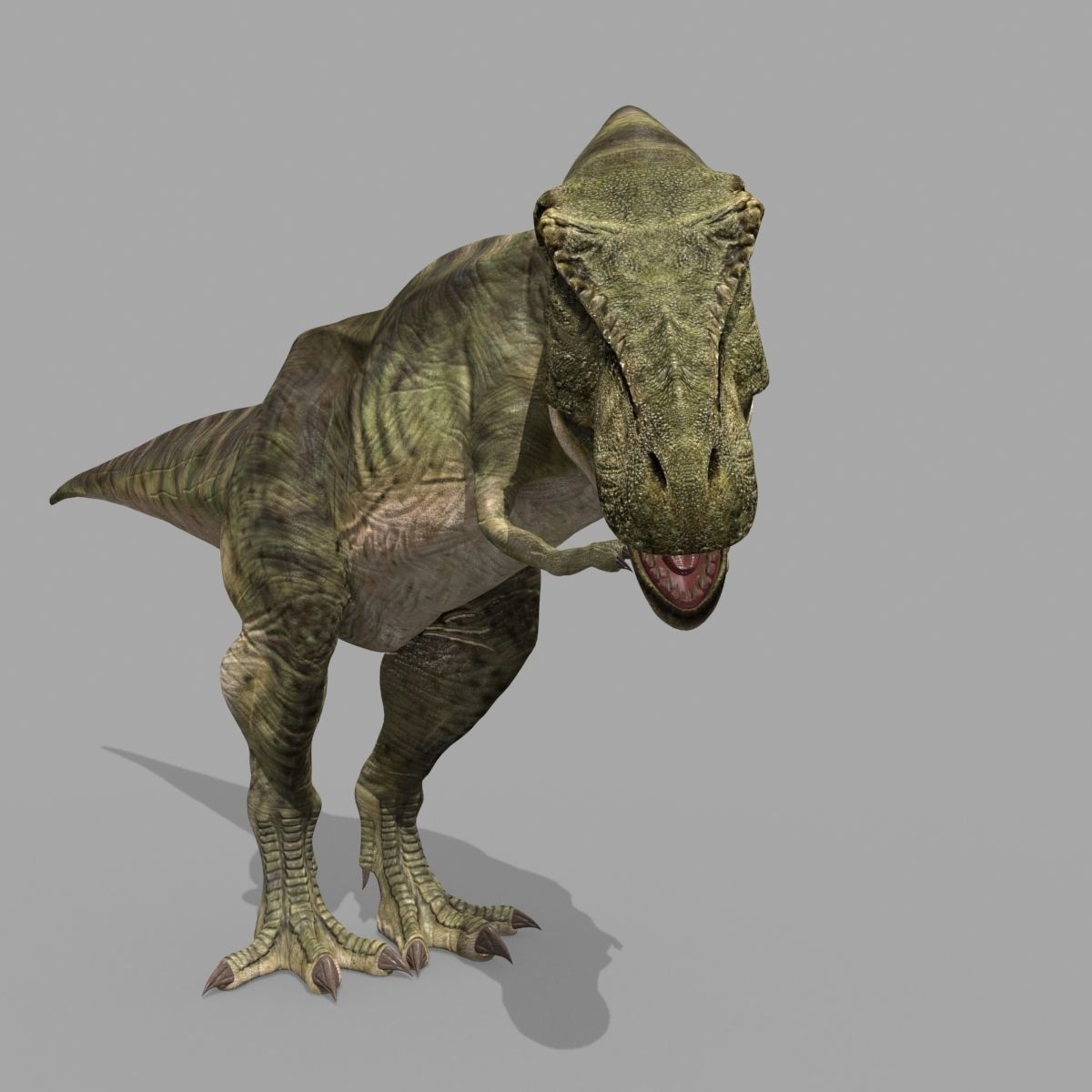 T Rex Premium 8K - fully animated 3D model_32