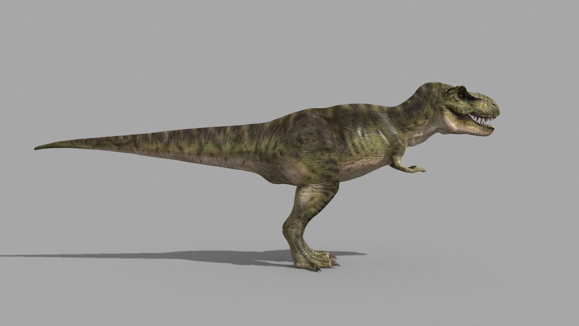 T Rex Premium 8K - fully animated 3D model_9
