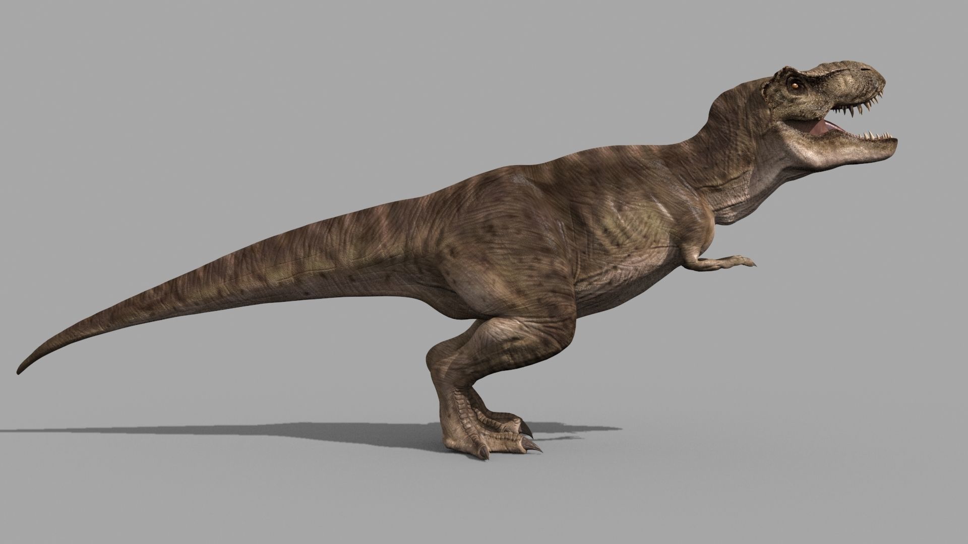 T Rex Premium 8K - fully animated 3D model_24