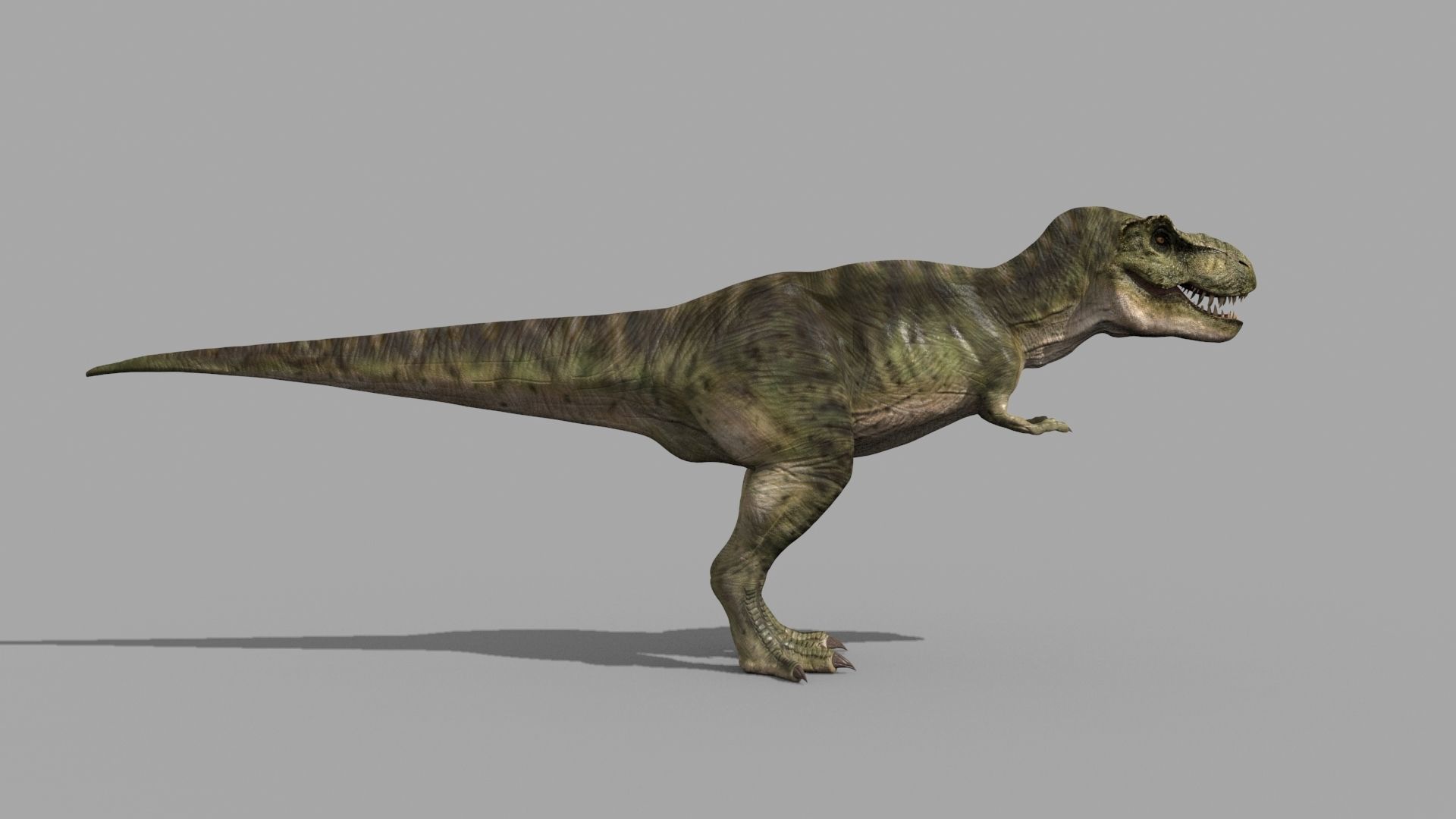 T Rex Premium 8K - fully animated 3D model_10