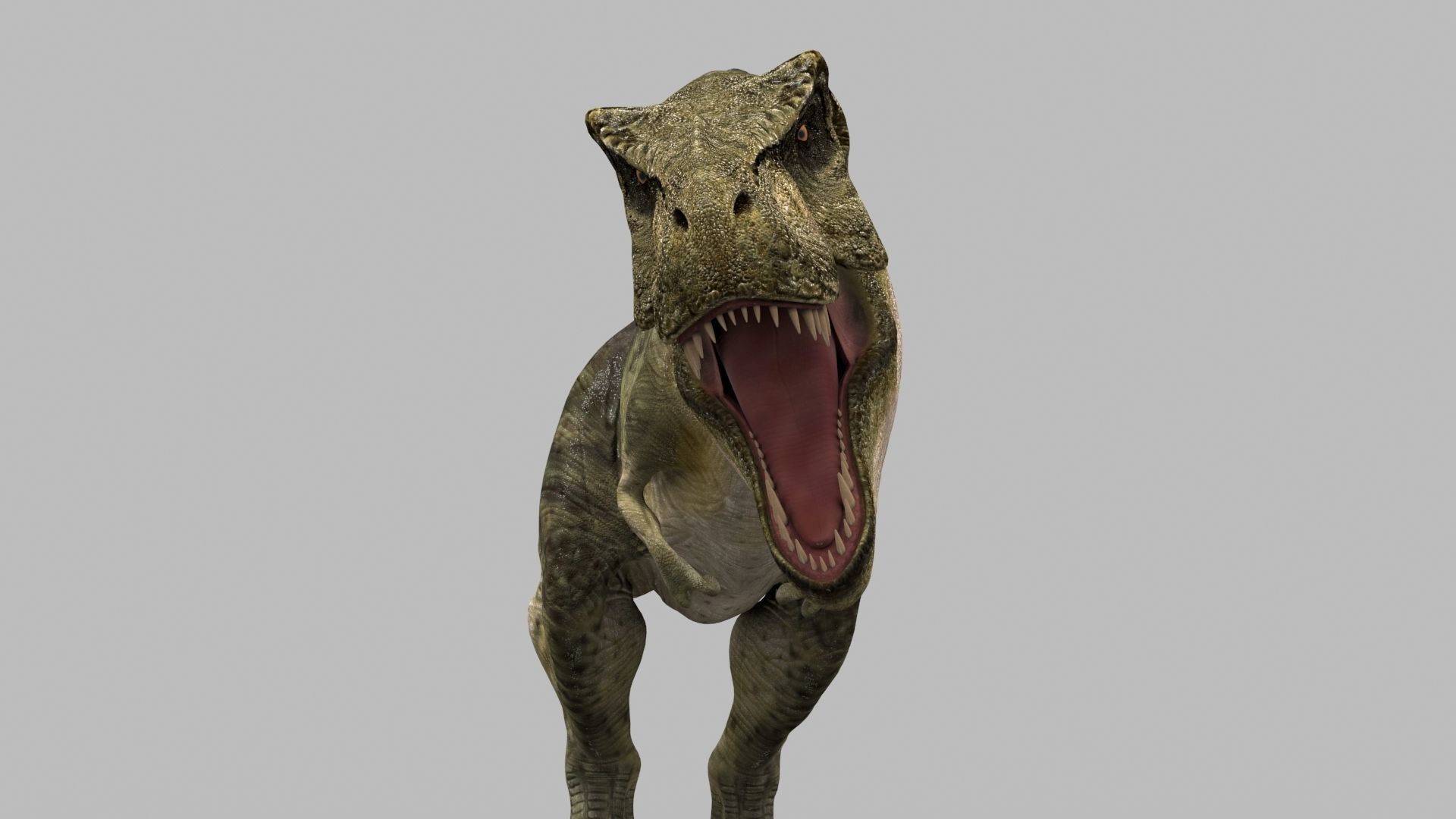 T Rex Premium 8K - fully animated 3D model_43