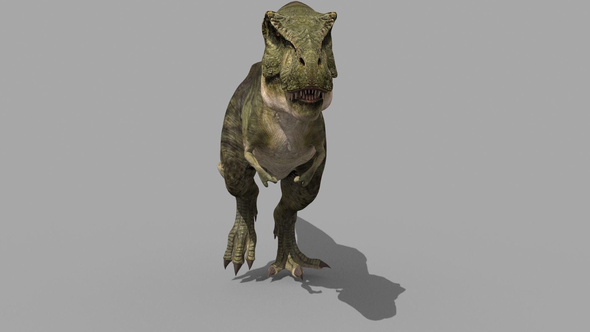 T Rex Premium 8K - fully animated 3D model_45