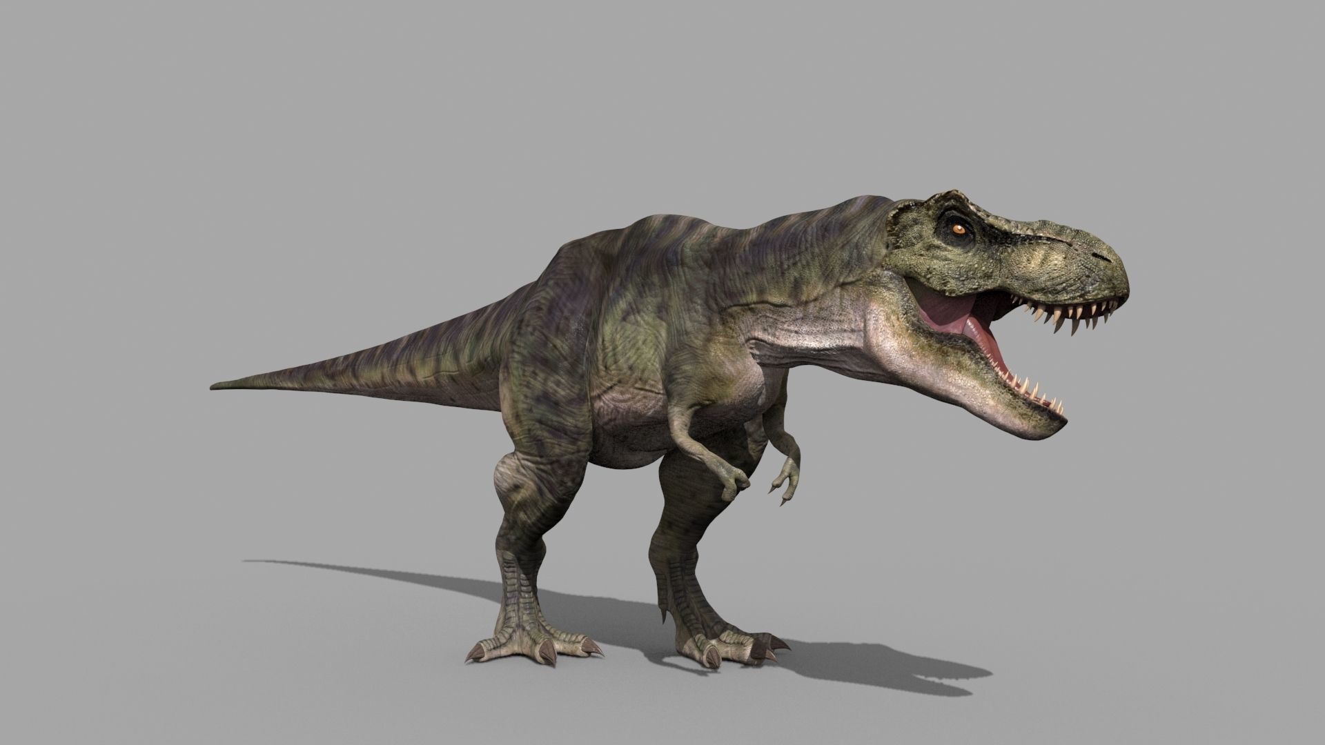T Rex Premium 8K - fully animated 3D model_22