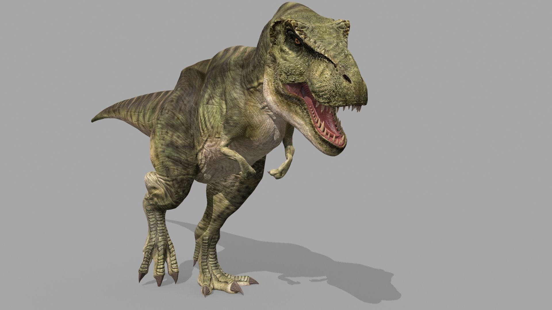 T Rex Premium 8K - fully animated 3D model_14