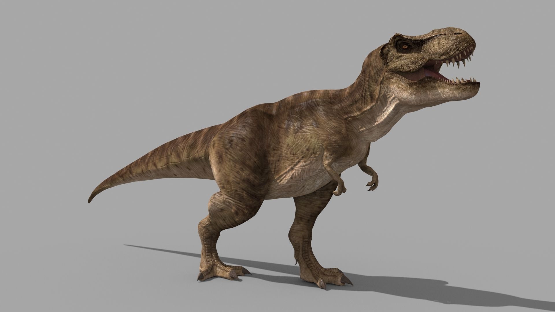 T Rex Premium 8K - fully animated 3D model_44