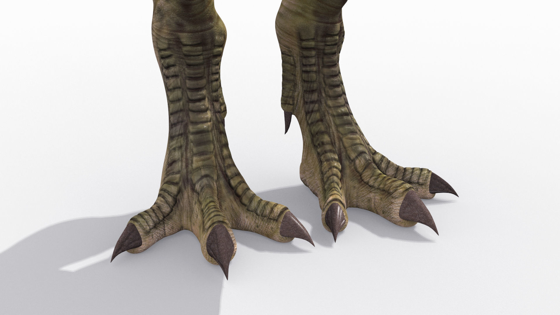 T Rex Premium 8K - fully animated 3D model_16