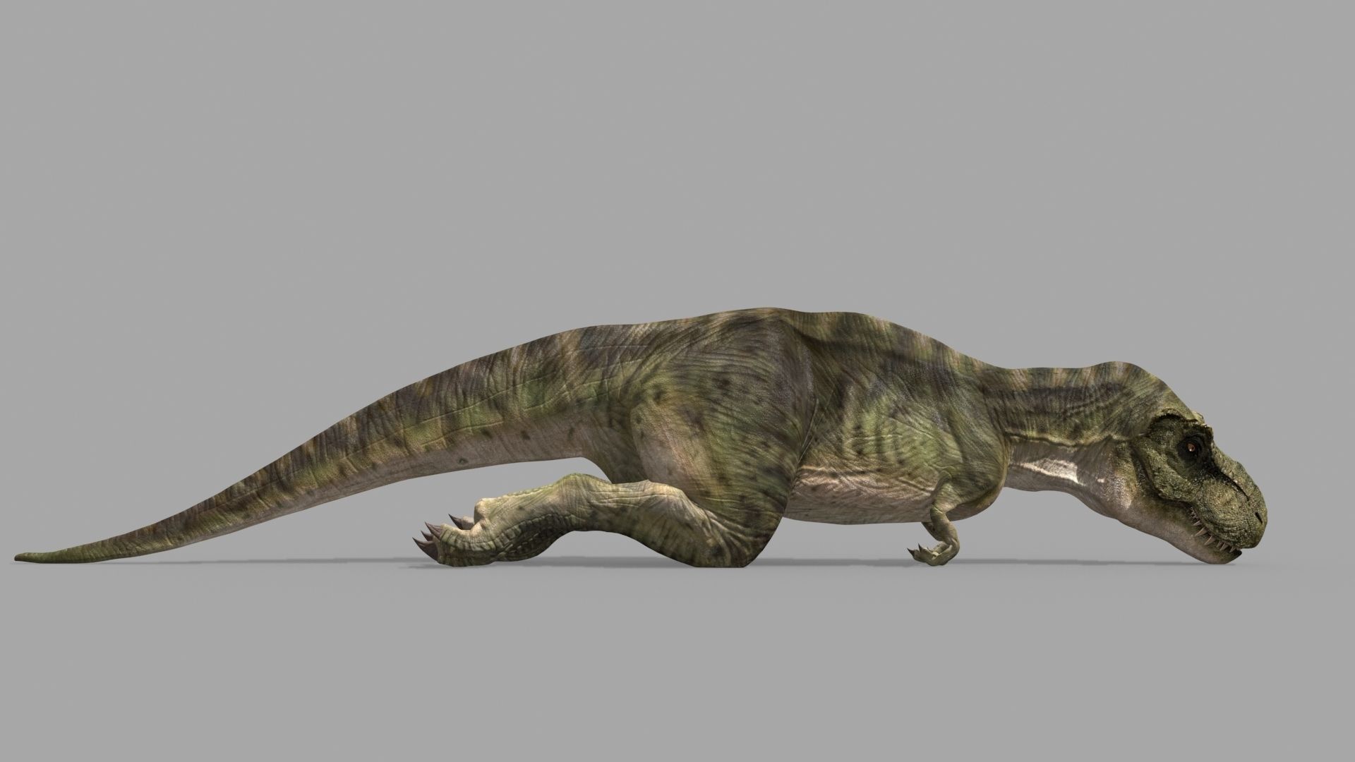 Colossal Dinosaur Pack 8K - fully animated 3D model_76