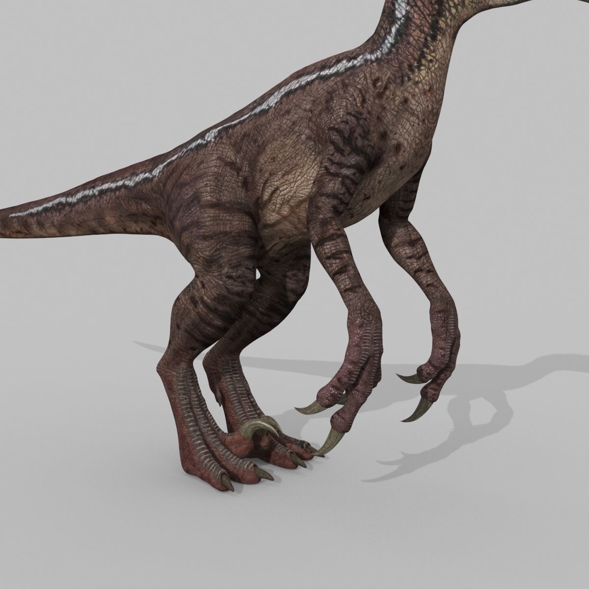 Colossal Dinosaur Pack 8K - fully animated 3D model_106