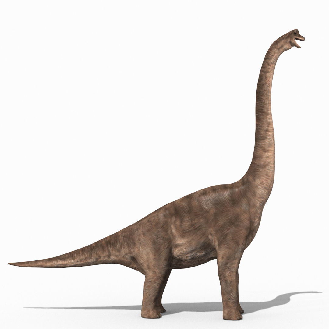 Colossal Dinosaur Pack 8K - fully animated 3D model_163