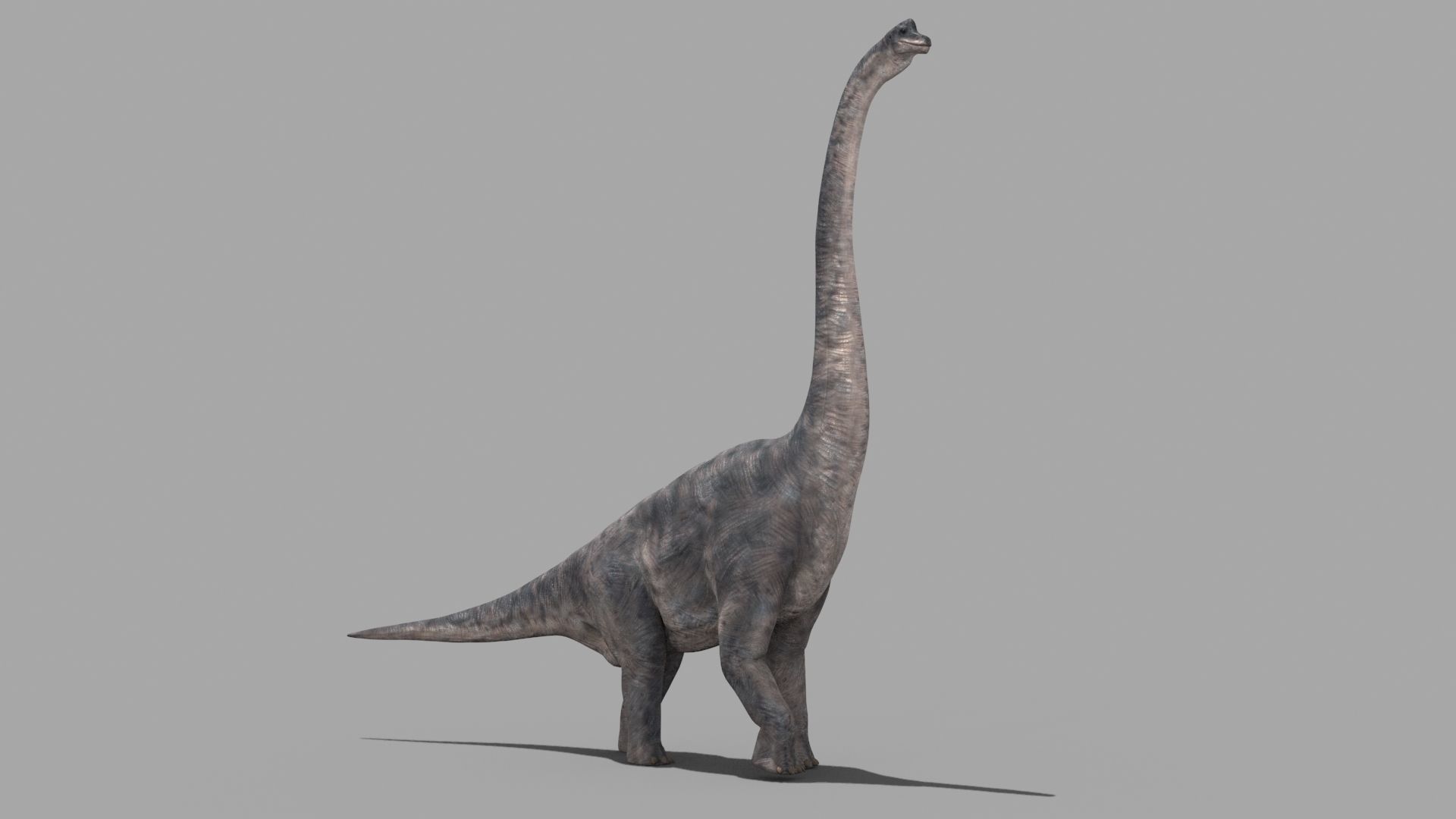 Colossal Dinosaur Pack 8K - fully animated 3D model_172