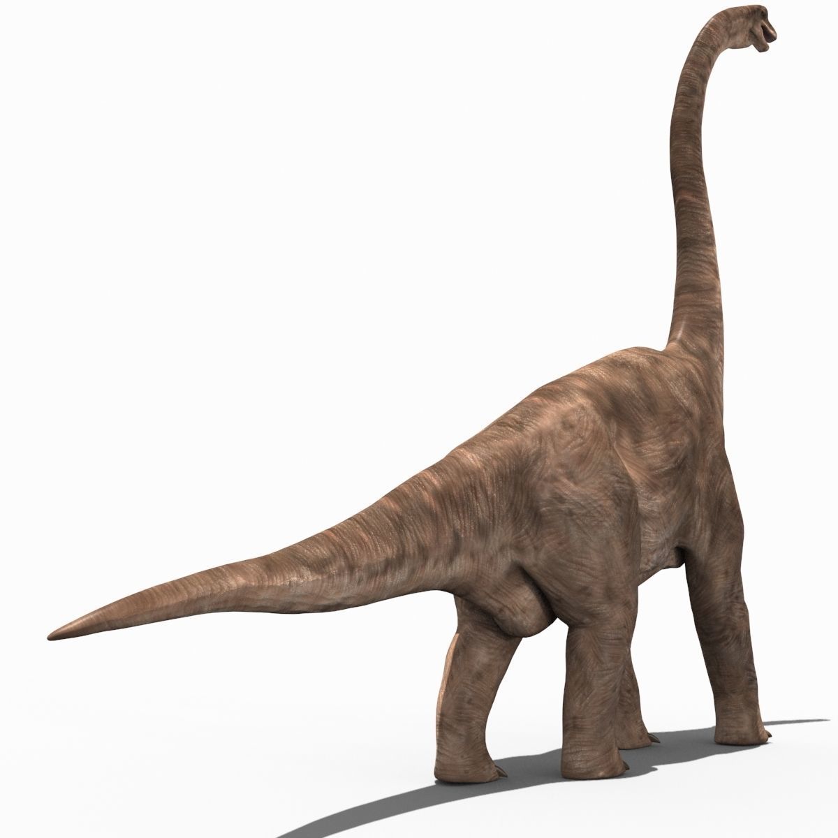 Colossal Dinosaur Pack 8K - fully animated 3D model_162