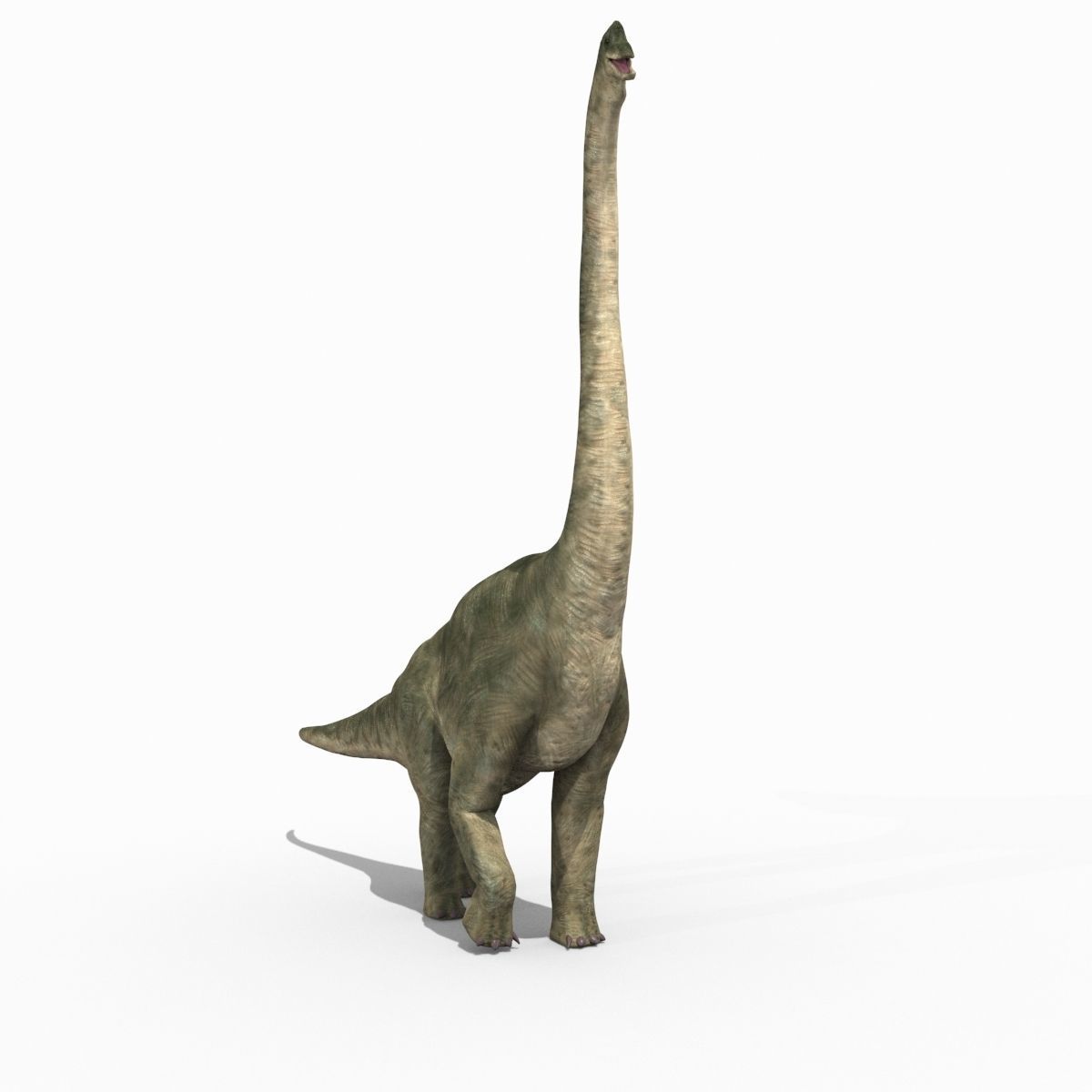 Colossal Dinosaur Pack 8K - fully animated 3D model_174