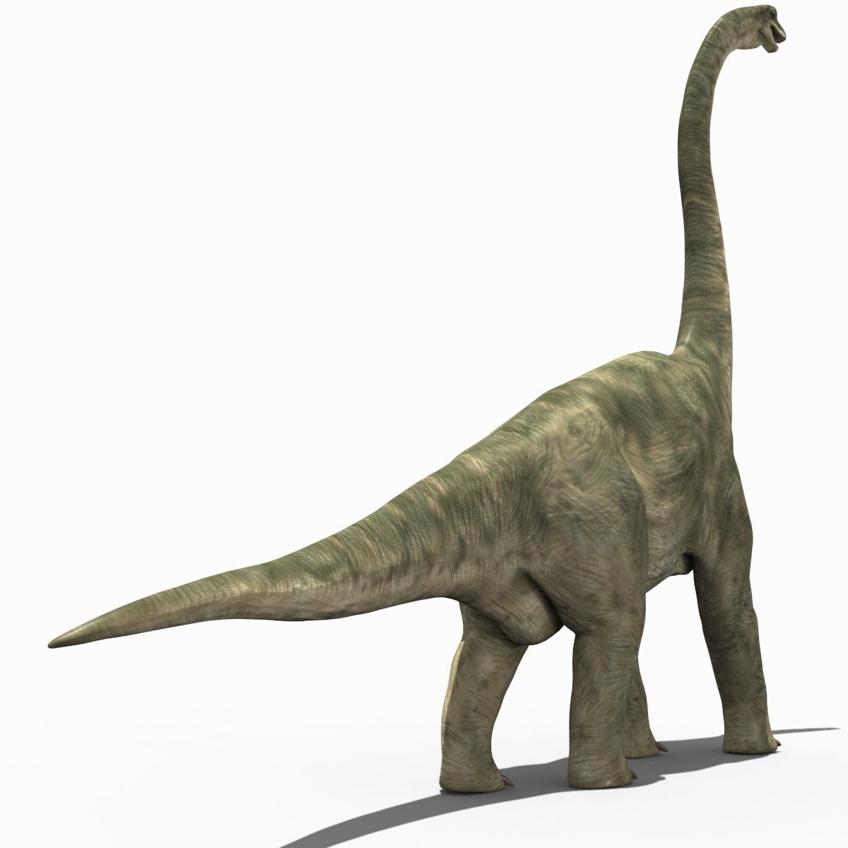 Colossal Dinosaur Pack 8K - fully animated 3D model_171