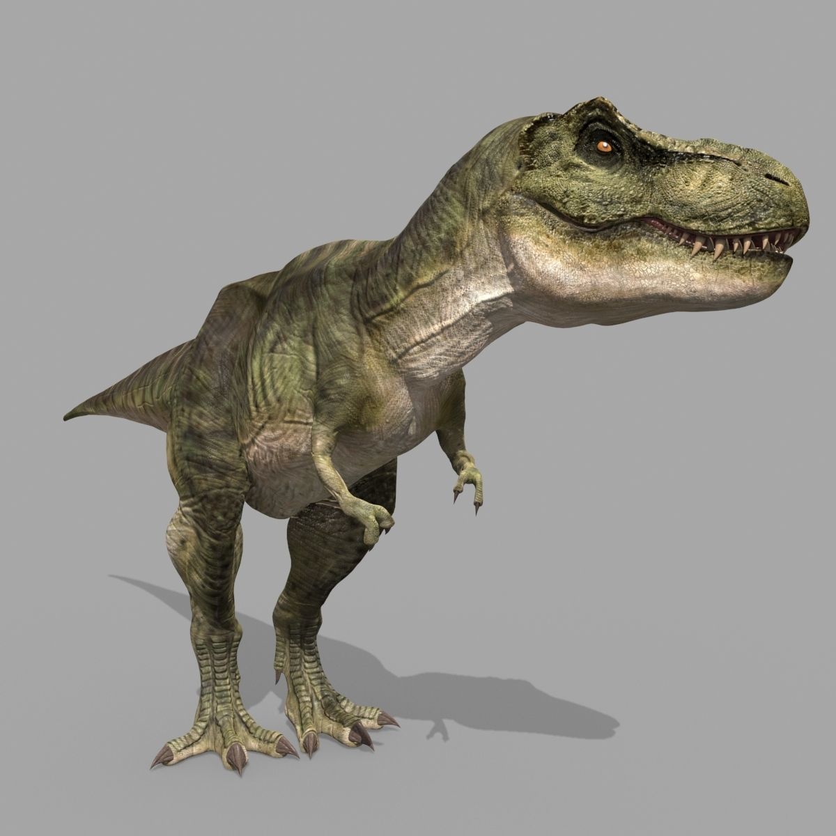 Colossal Dinosaur Pack 8K - fully animated 3D model_50