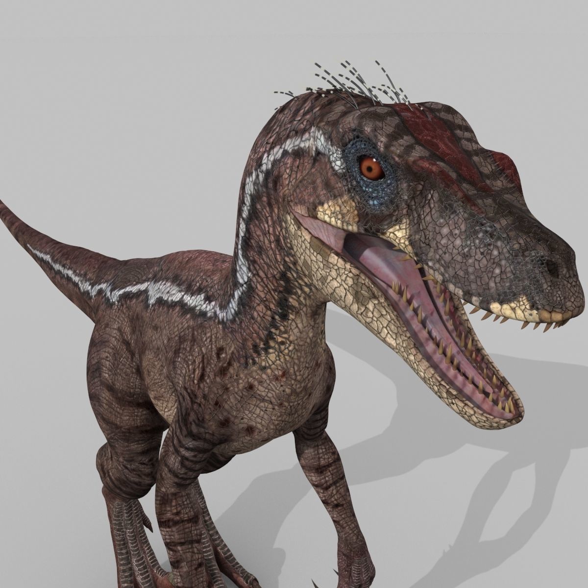 Colossal Dinosaur Pack 8K - fully animated 3D model_93