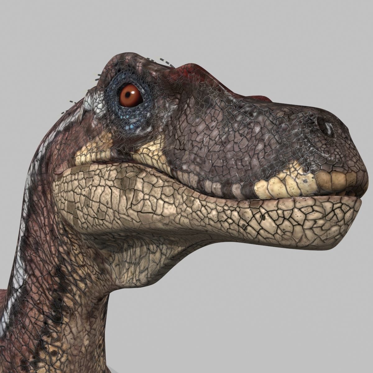 Colossal Dinosaur Pack 8K - fully animated 3D model_90