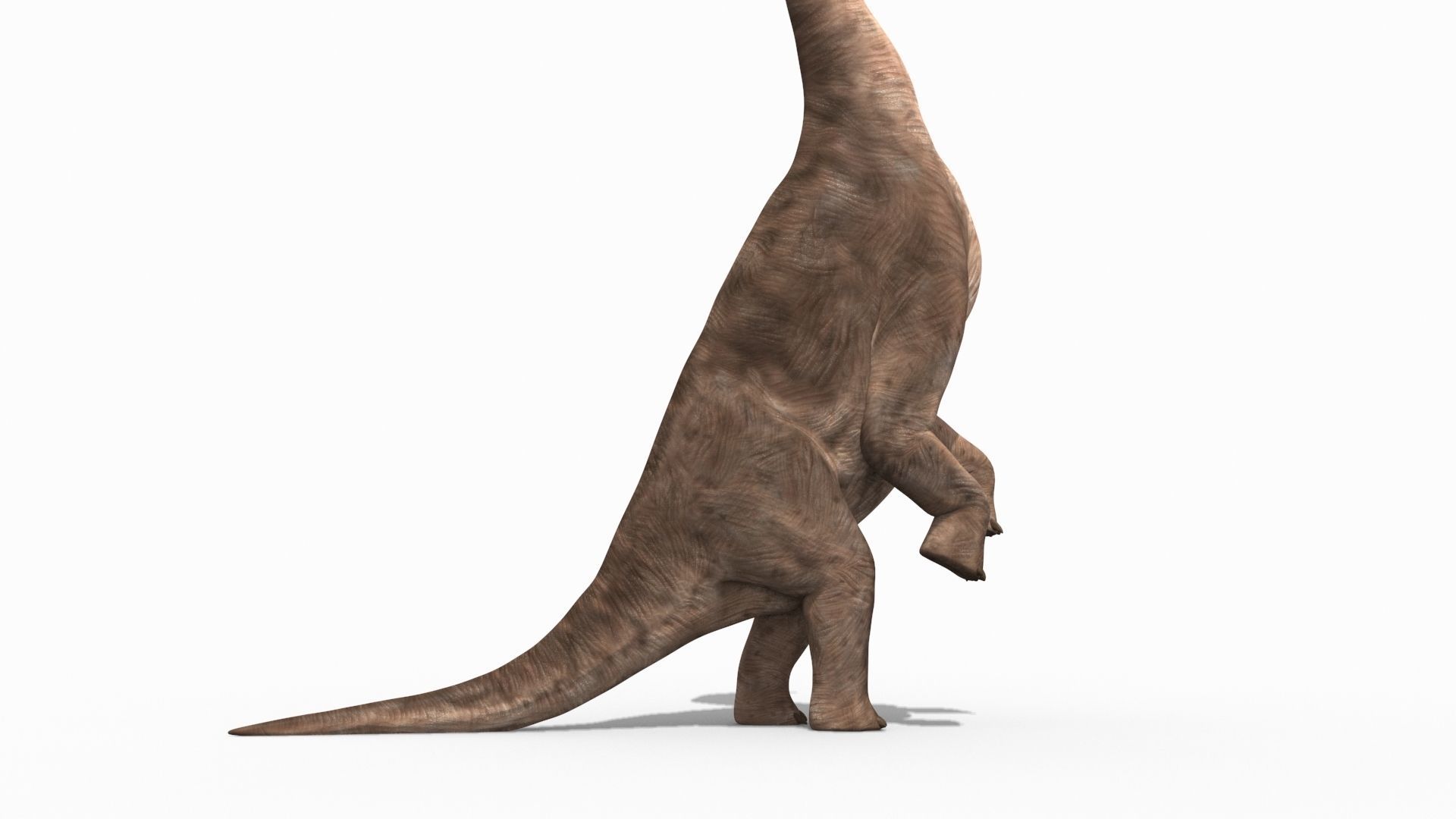 Colossal Dinosaur Pack 8K - fully animated 3D model_173