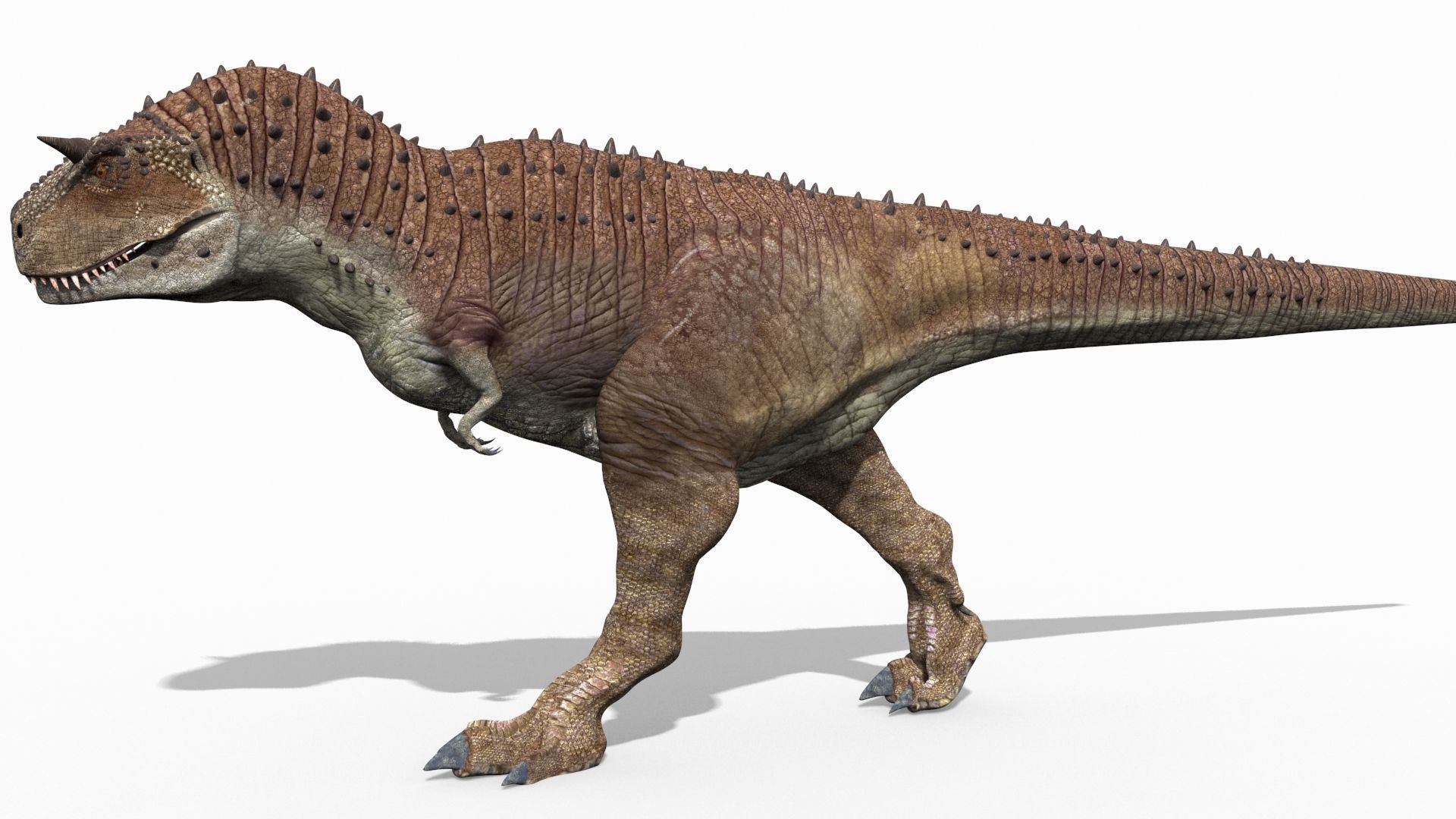 Colossal Dinosaur Pack 8K - fully animated 3D model_135