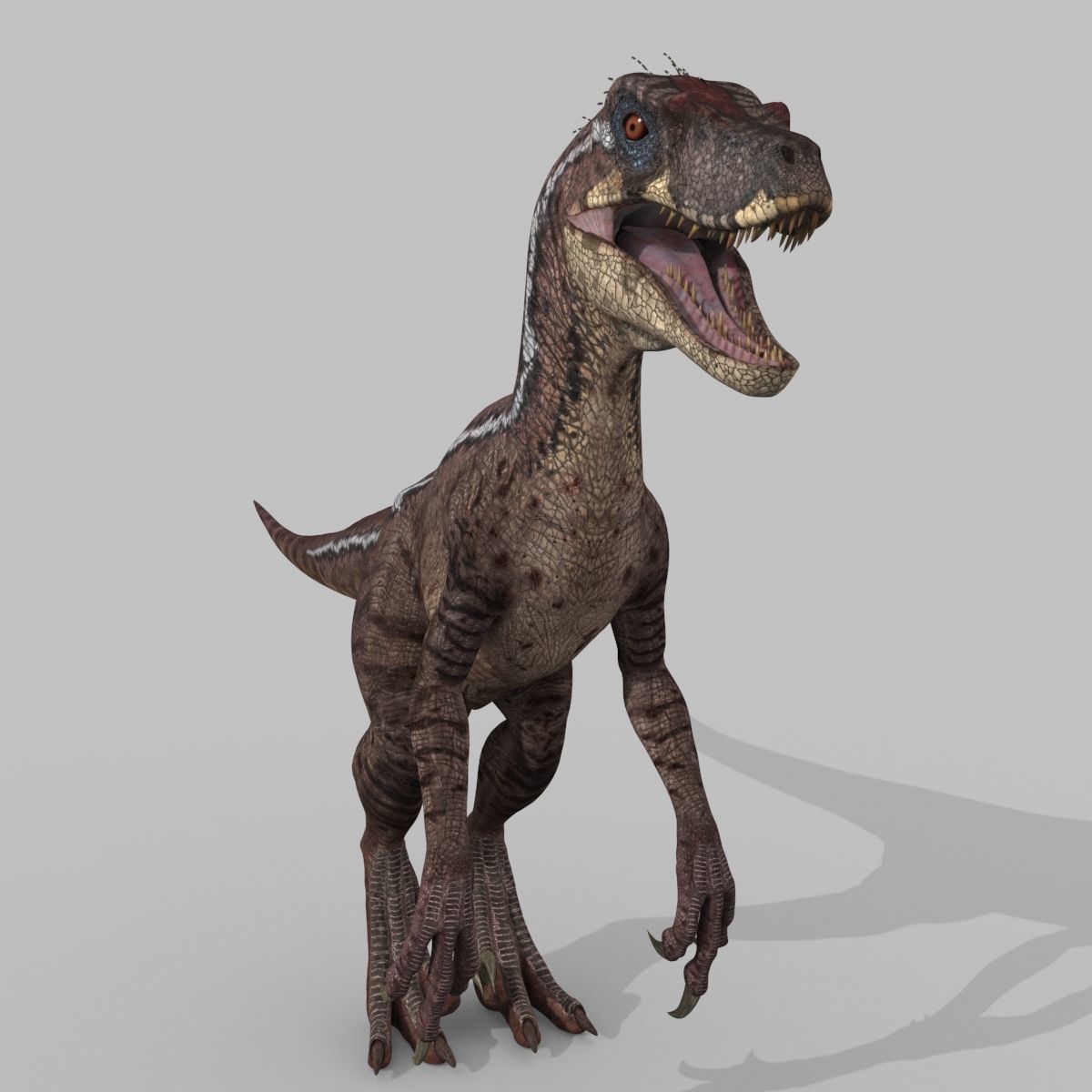 Colossal Dinosaur Pack 8K - fully animated 3D model_104