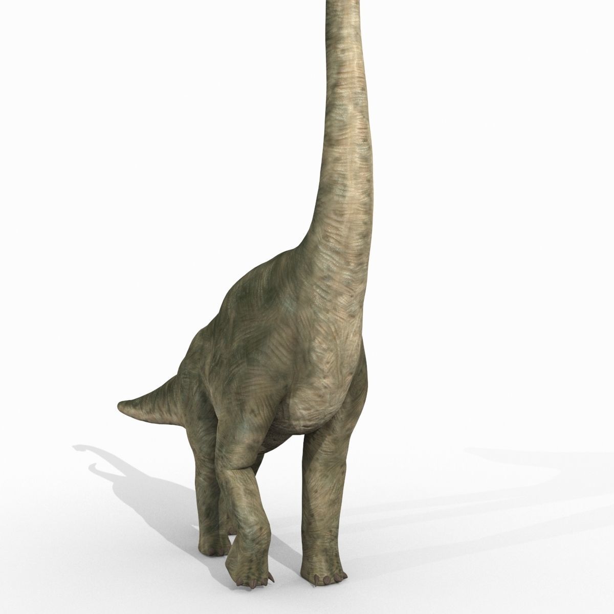 Colossal Dinosaur Pack 8K - fully animated 3D model_156