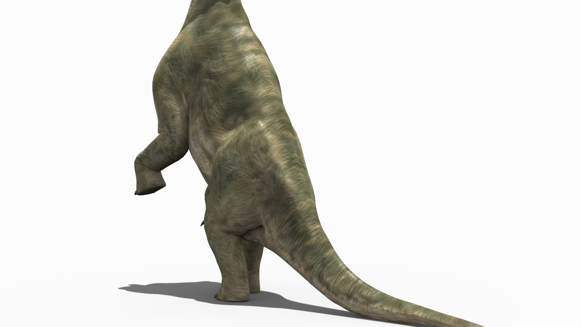 Colossal Dinosaur Pack 8K - fully animated 3D model_165