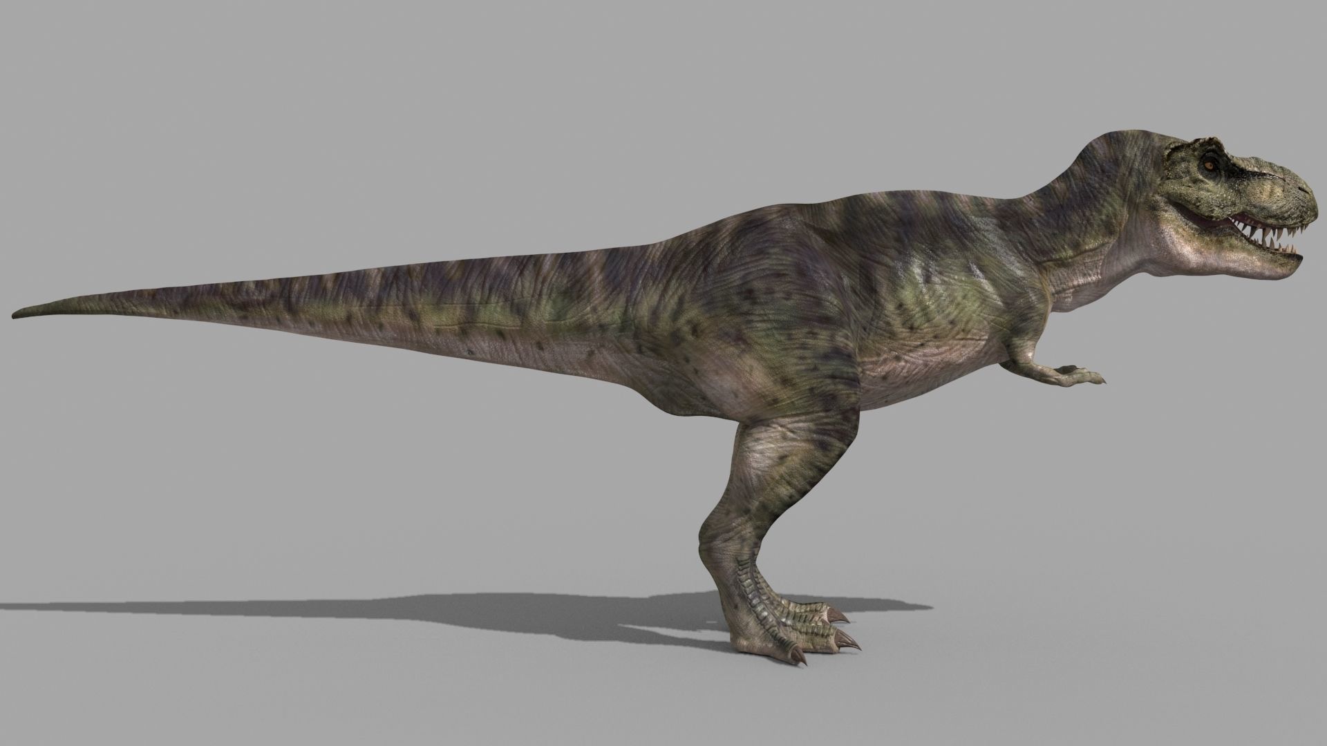 Colossal Dinosaur Pack 8K - fully animated 3D model_59