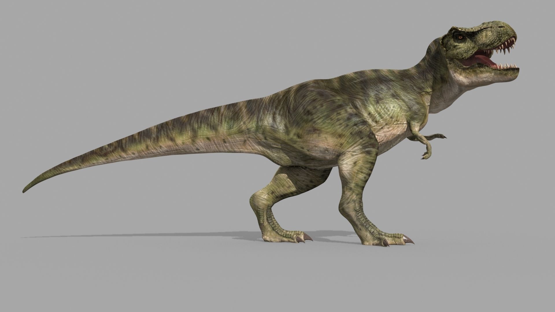 Colossal Dinosaur Pack 8K - fully animated 3D model_75