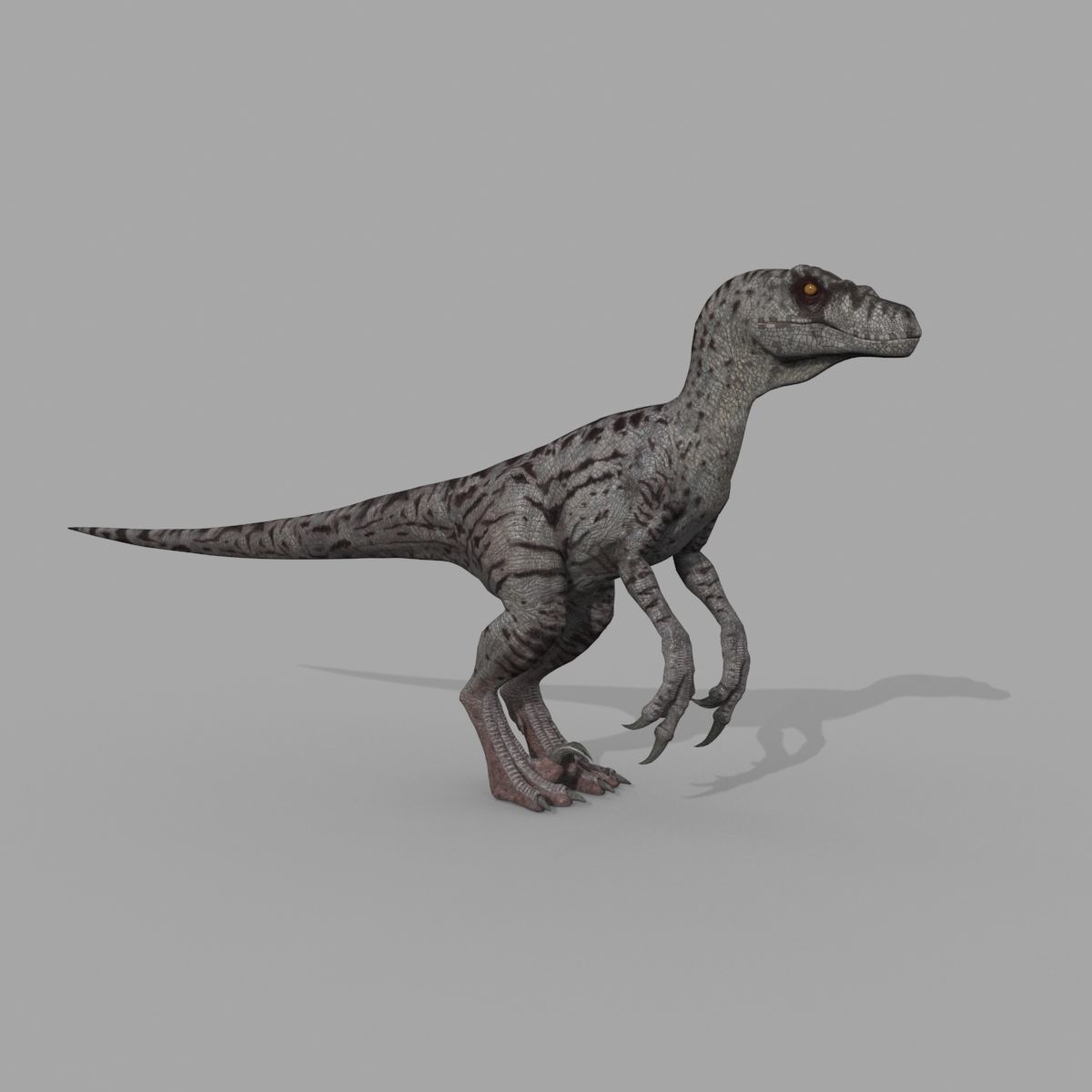 Colossal Dinosaur Pack 8K - fully animated 3D model_122