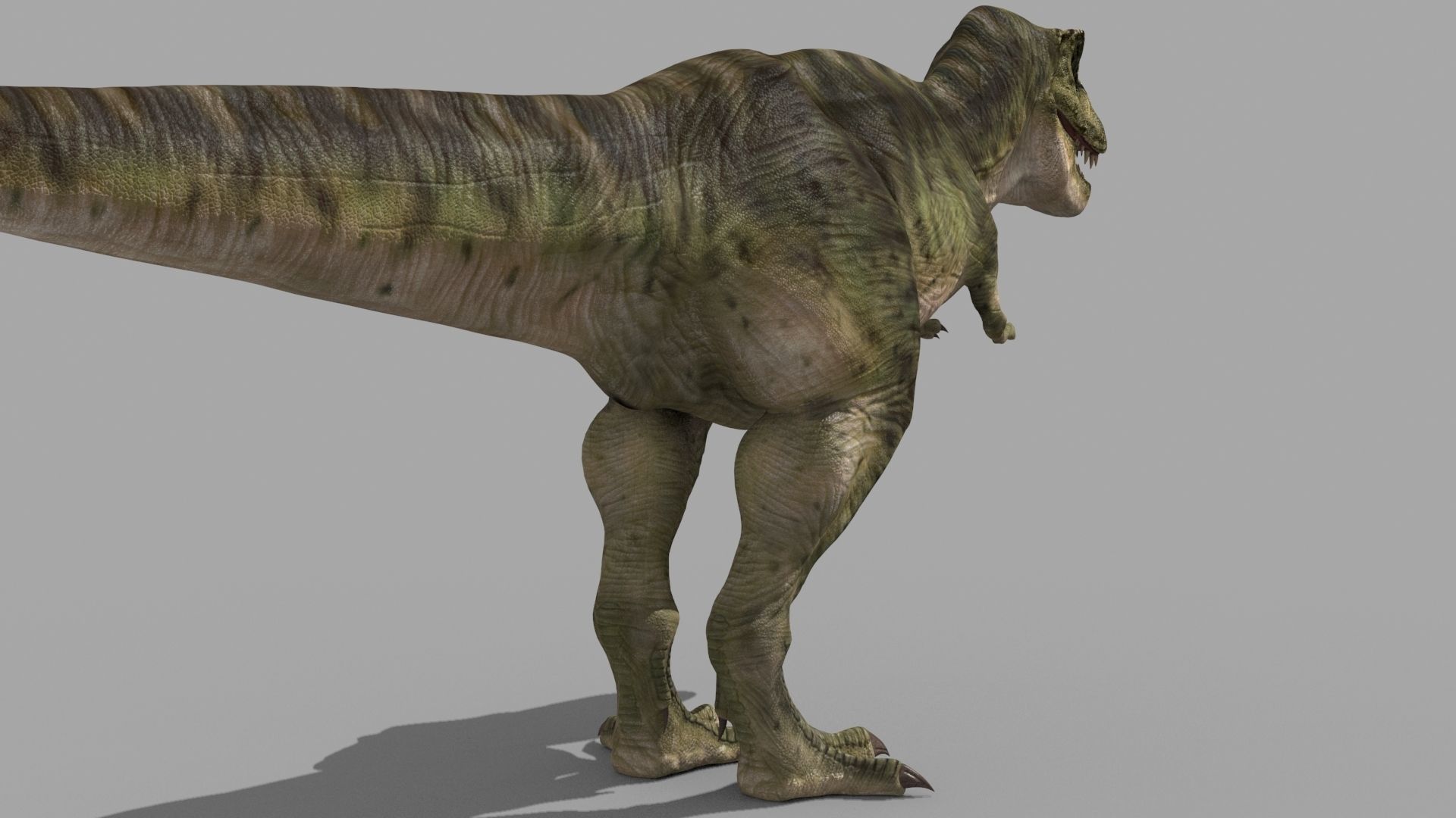 Colossal Dinosaur Pack 8K - fully animated 3D model_74