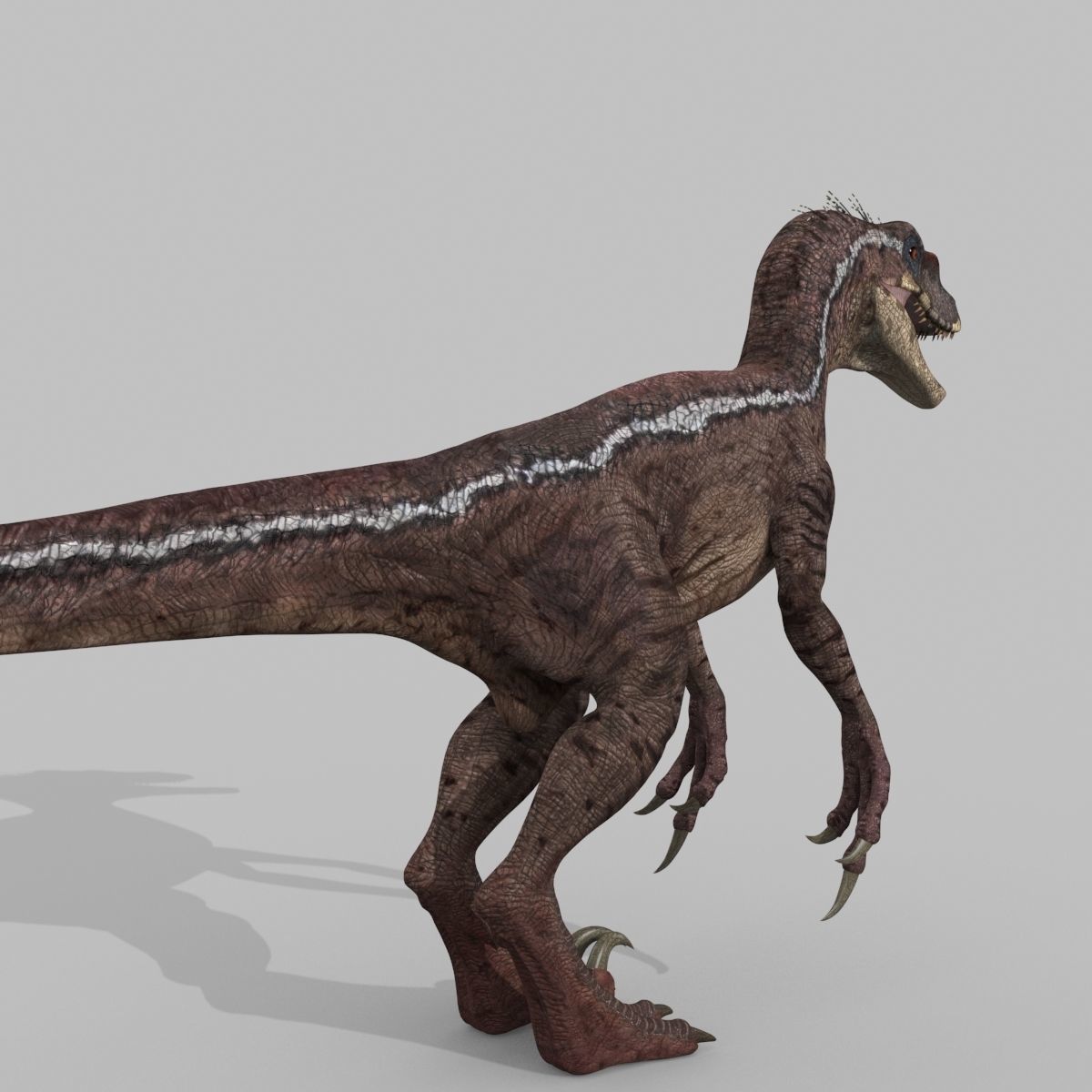 Colossal Dinosaur Pack 8K - fully animated 3D model_97