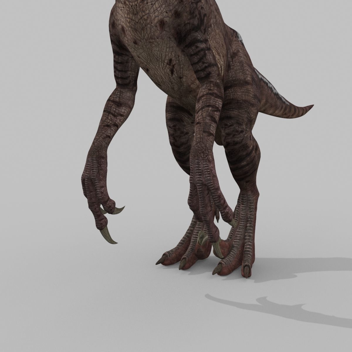 Colossal Dinosaur Pack 8K - fully animated 3D model_105