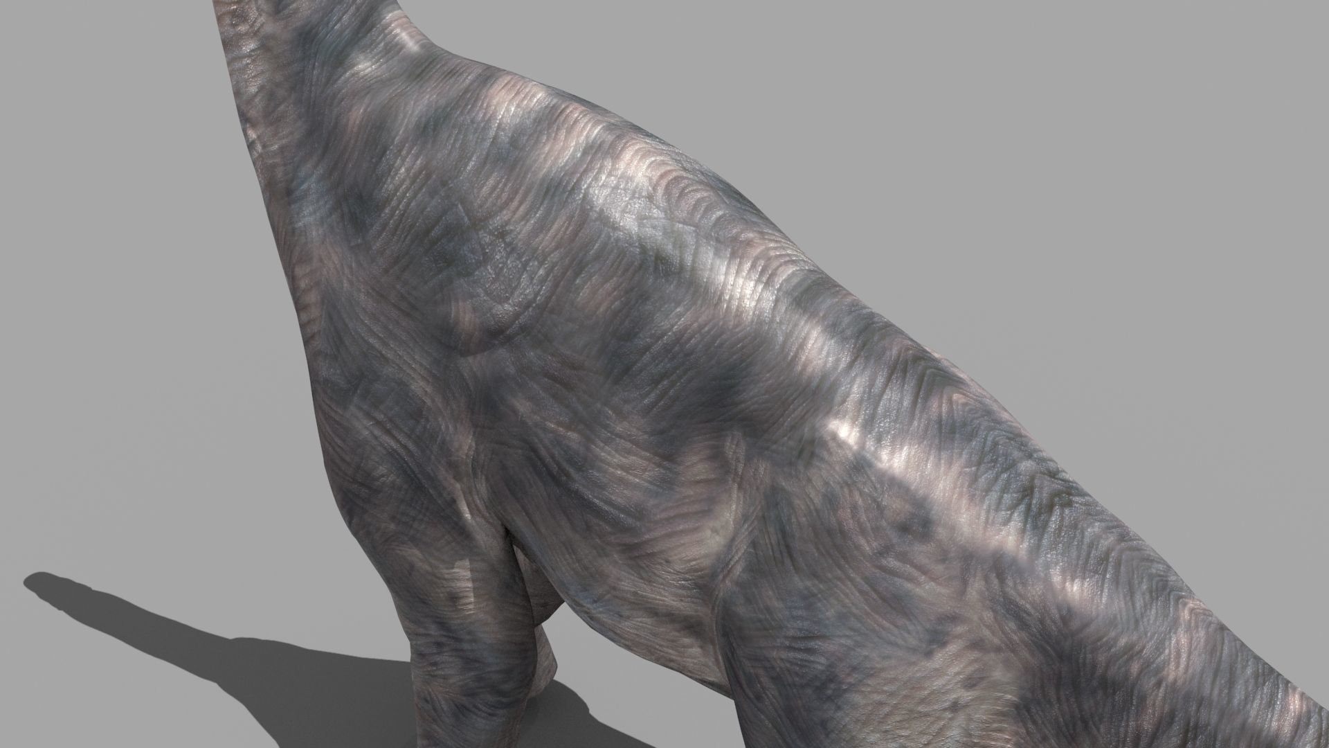 Colossal Dinosaur Pack 8K - fully animated 3D model_178