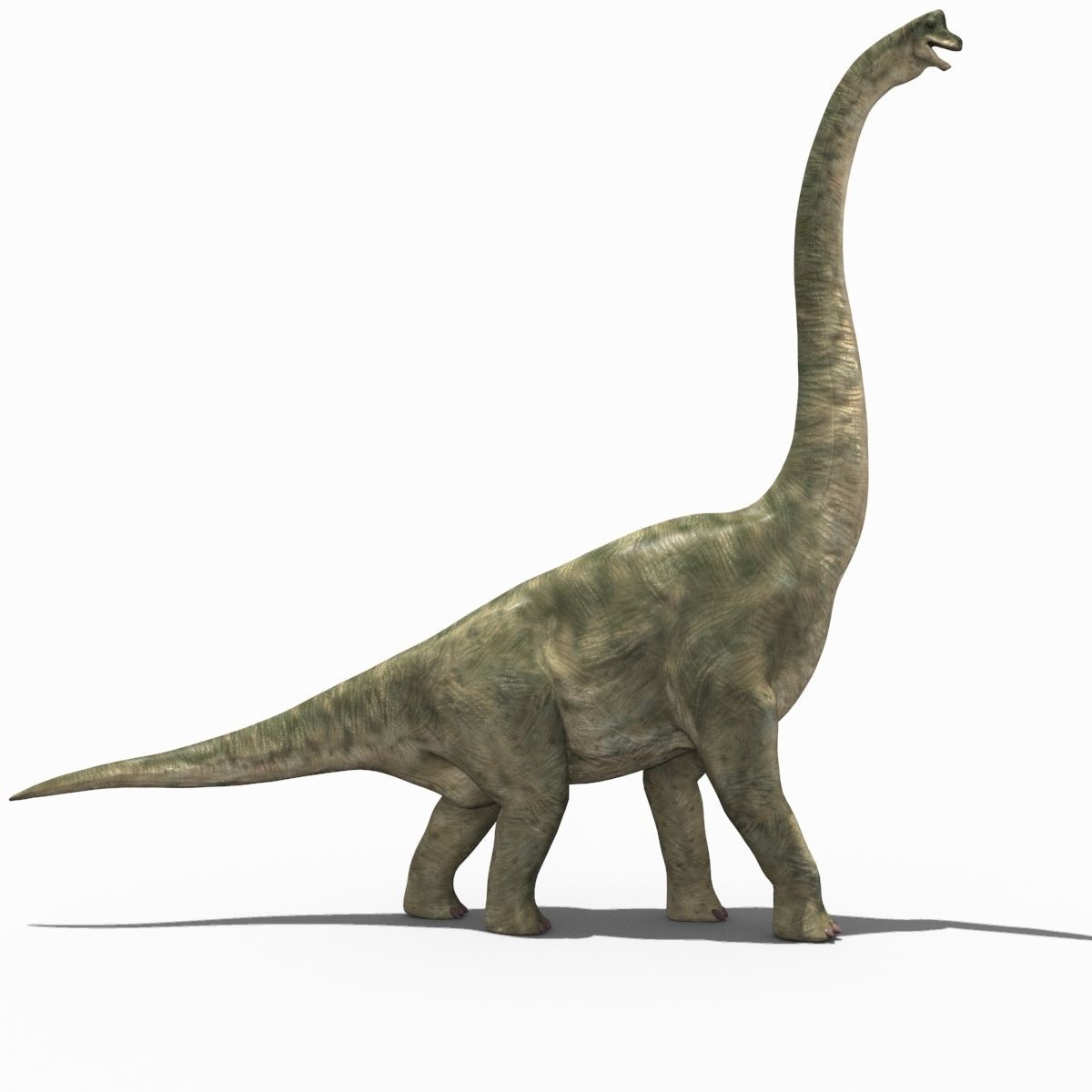 Colossal Dinosaur Pack 8K - fully animated 3D model_157