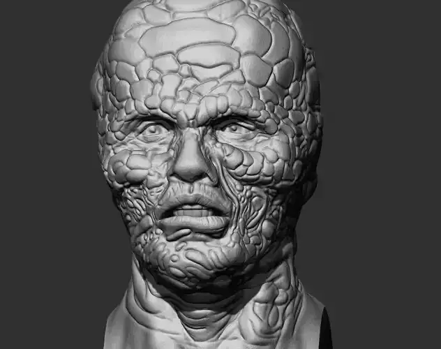 THE FLY custom head 3D print model