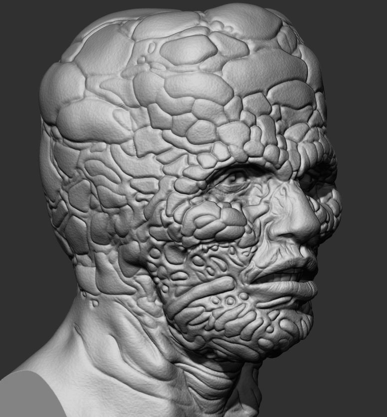 THE FLY custom head 3D print model_2