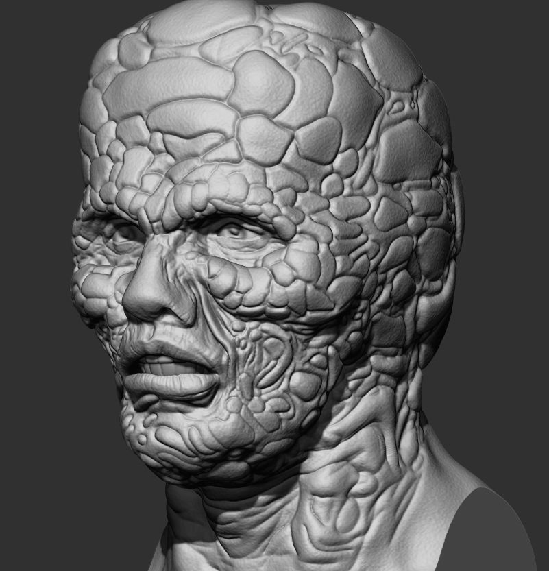 THE FLY custom head 3D print model_3
