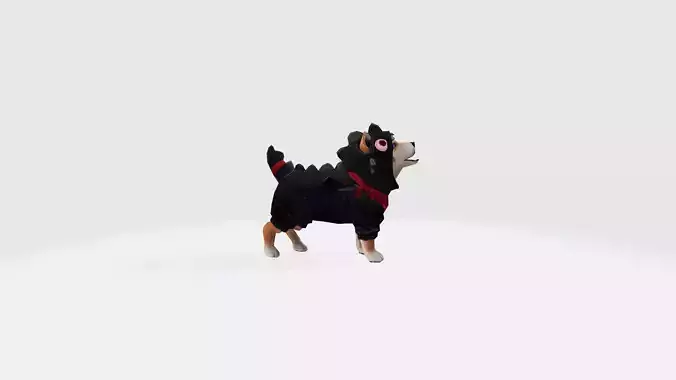 AvatarPet  Shiba FreeFire character