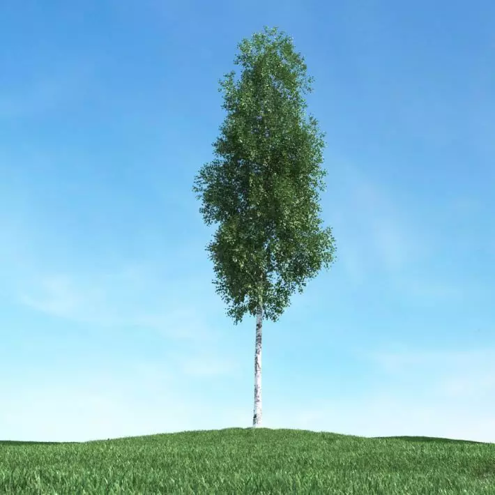 Green Leafy Tree 3D model_0