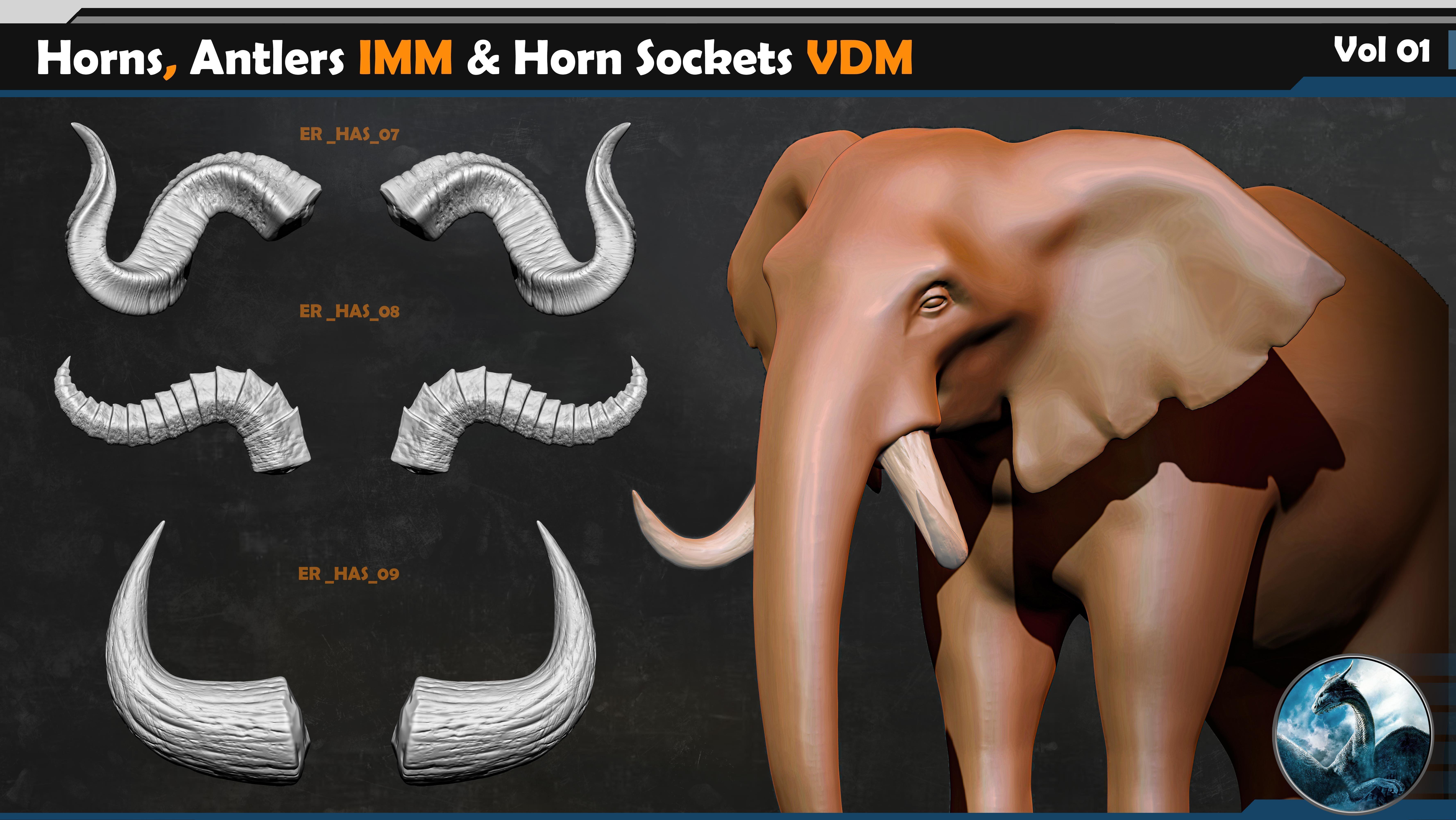 50 Horns Antlers IMM - Horn Sockets VDM Vol 01 Low-poly 3D model_3