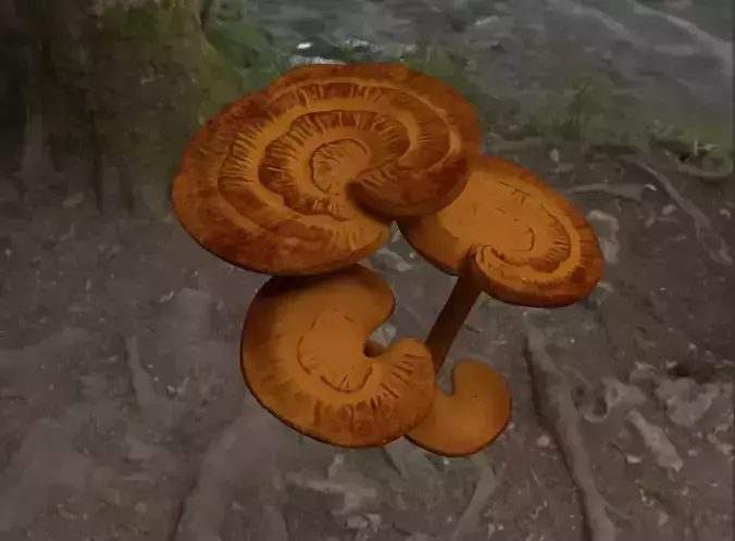 Plant - Ganoderma lucidum Original realistic Ganoderma lucidum  3D model