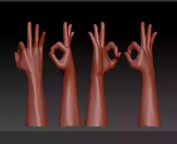 Beauty OK gesture model download  womens hand posture