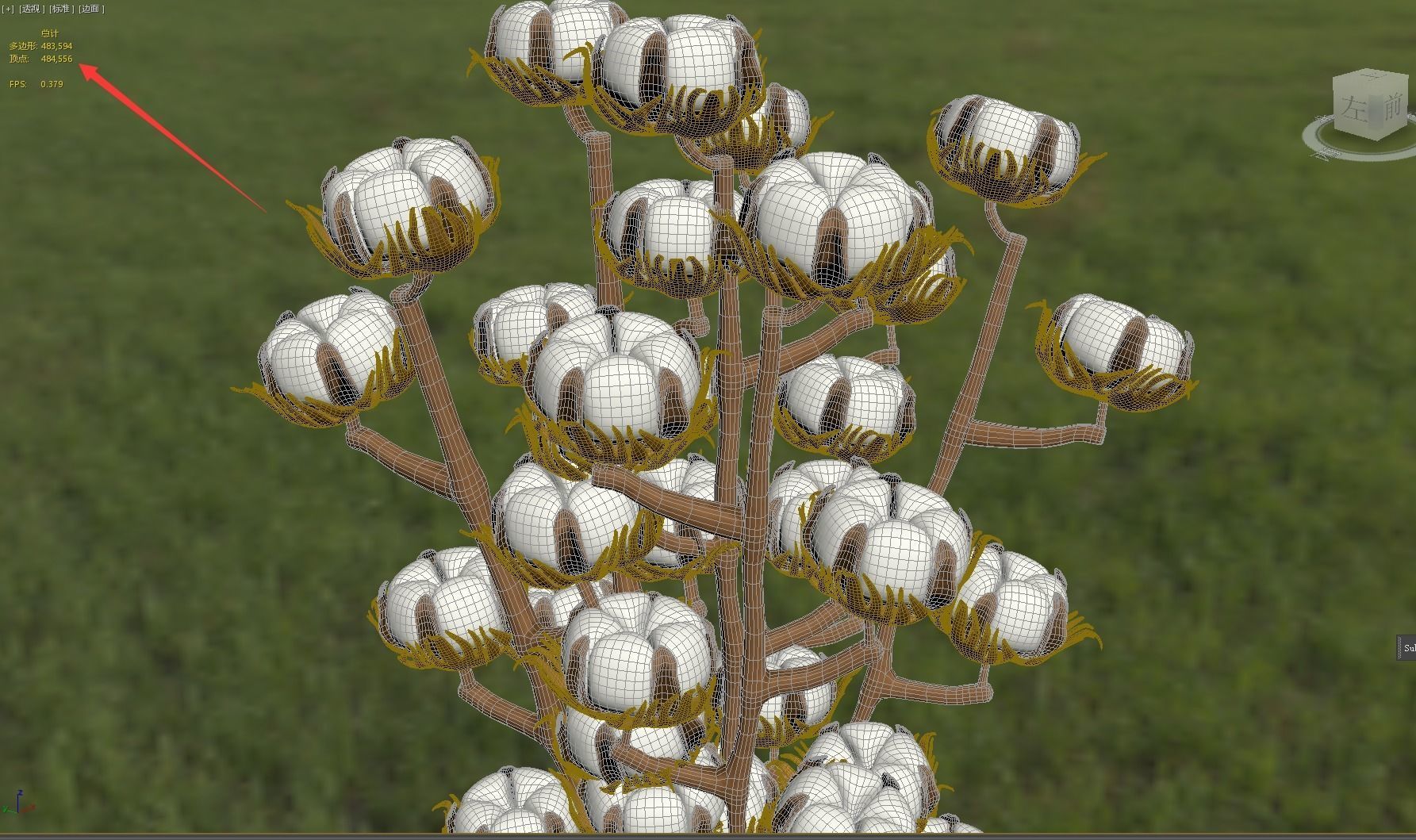 Next-generation cotton model download 3D model_3