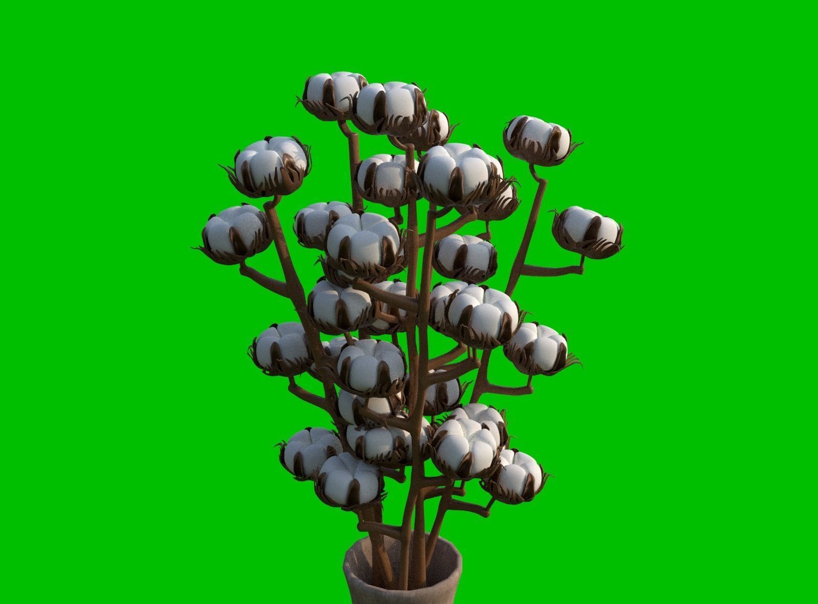 Next-generation cotton model download 3D model_1