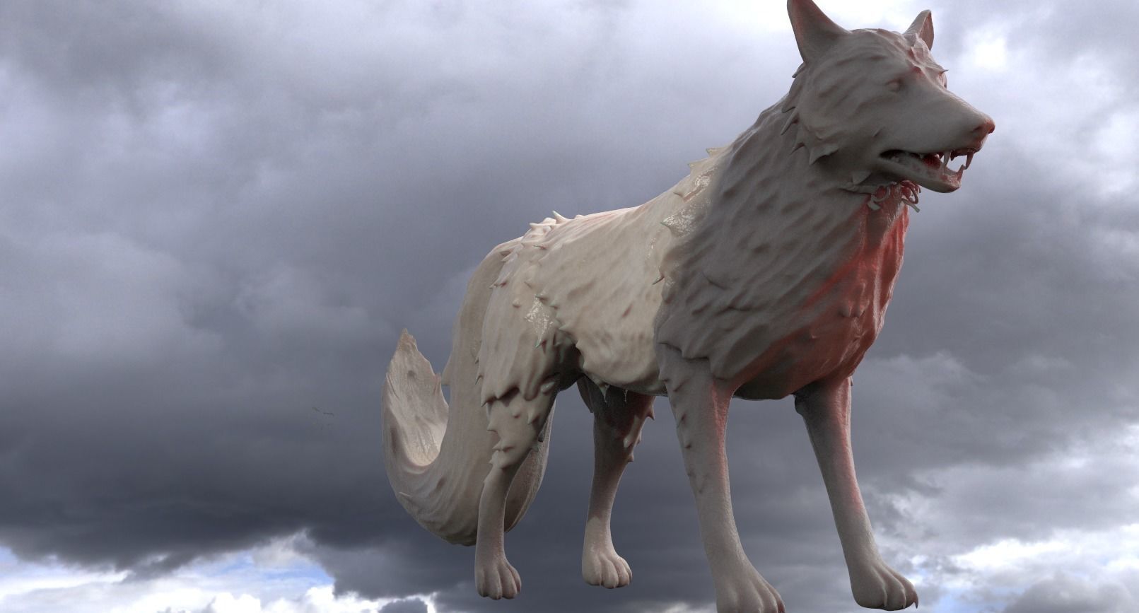 King Wolf 1 tail  3D model_1