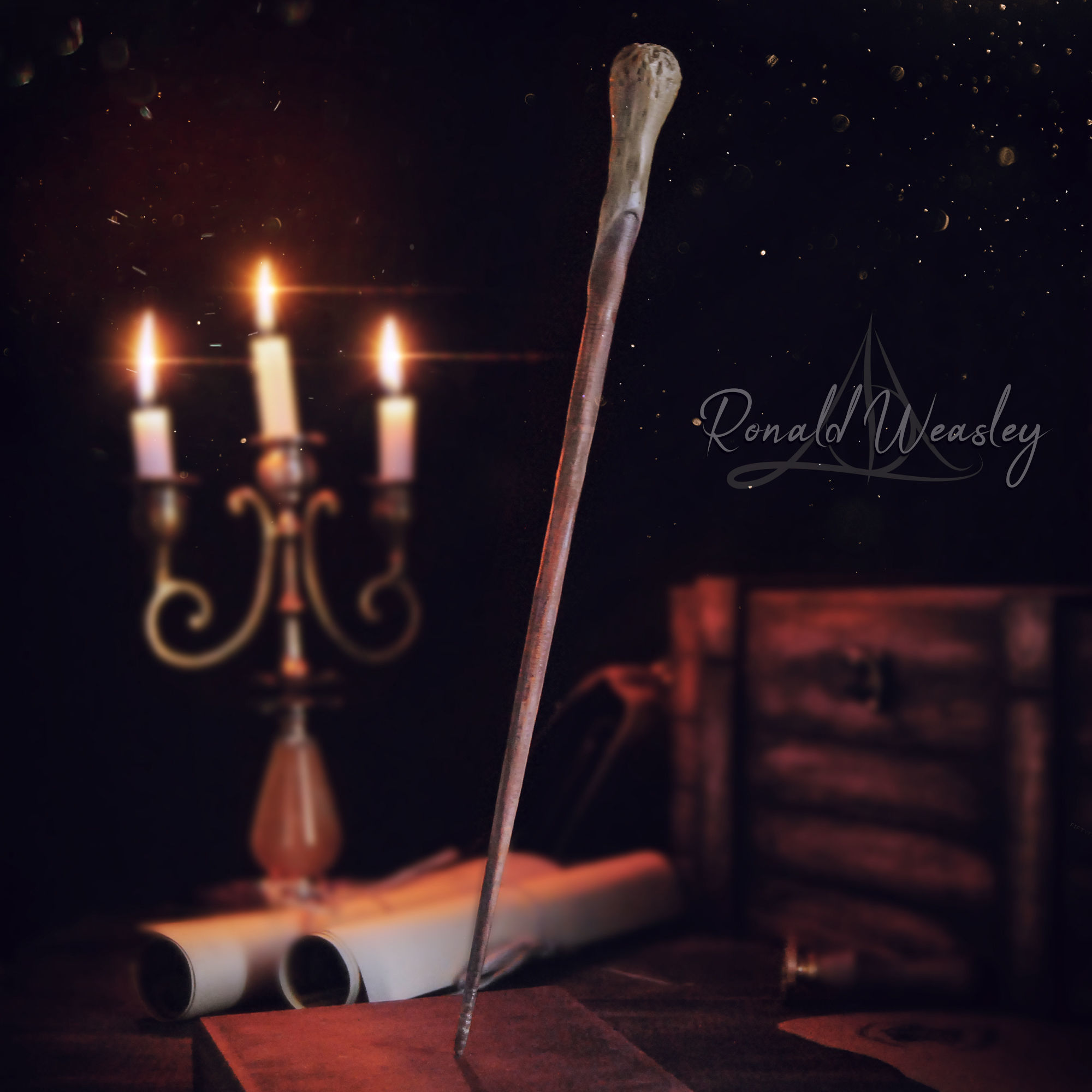 Dumbledores Army Wand Collection Display with 5 Wands  3D print model_20