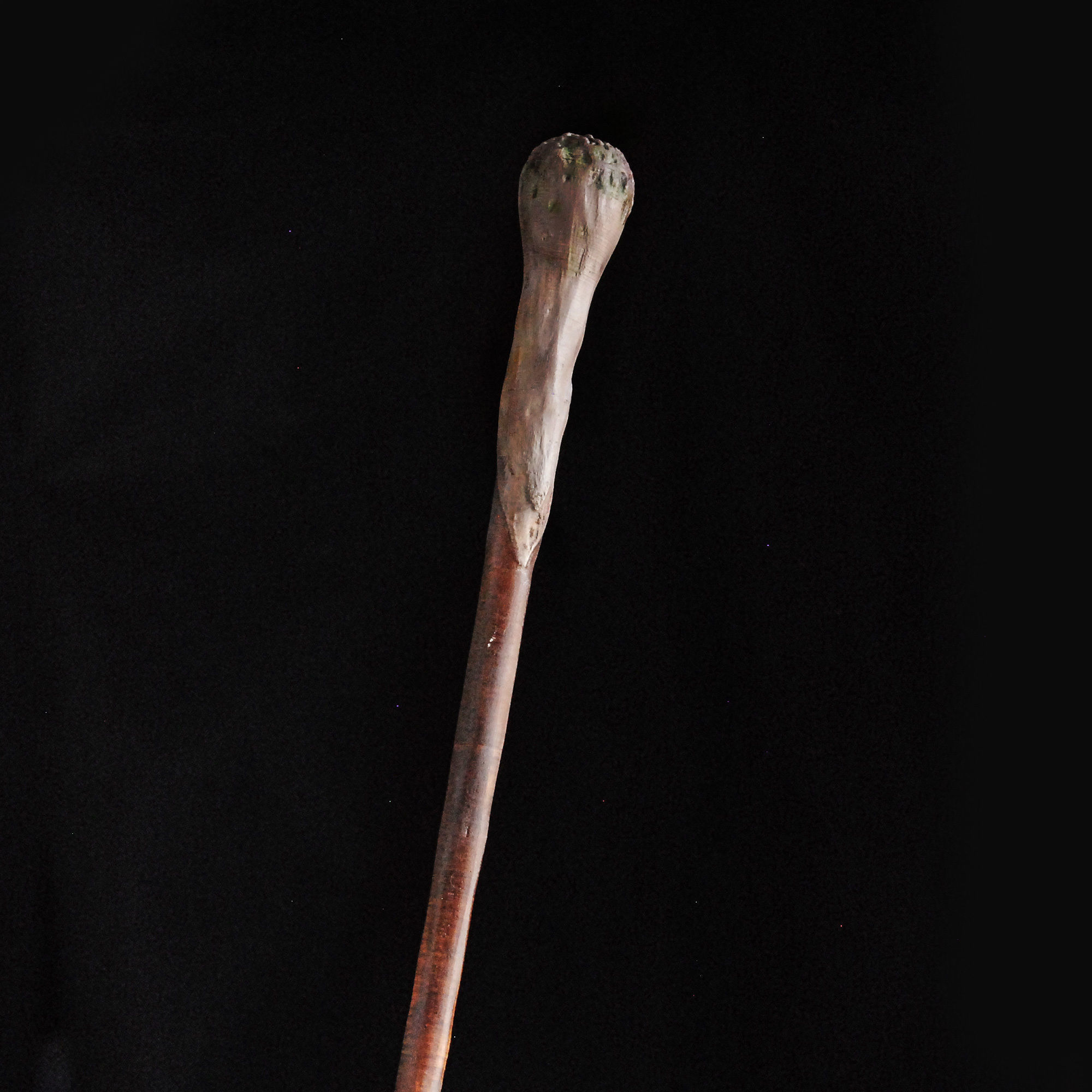 Dumbledores Army Wand Collection Display with 5 Wands  3D print model_18